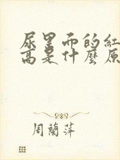 尿里面的红细胞高是什么原因