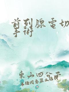 前列腺电切术的手术