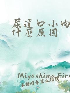 尿道口小肉粒是什么原因