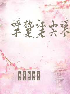 醉枕江山这个皇子是老六全集