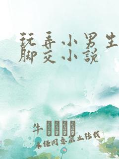 玩弄小男生玉足脚交小说