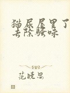 猫尿屋里了怎么去除骚味