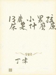 13岁小男孩尿床是什么原因引起的