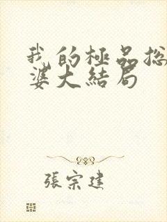 我的极品总裁老婆大结局