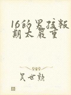 16的男孩叛逆期太严重