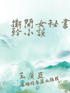 撕开女秘书丝袜干小说