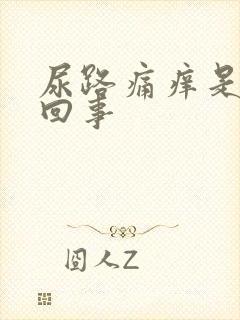 尿路痛痒是怎么回事