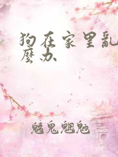 狗在家里乱尿怎么办