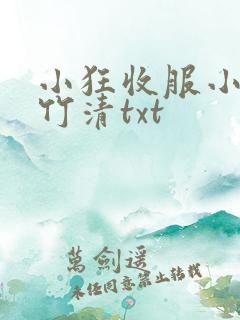 小狂收服小舞朱竹清txt