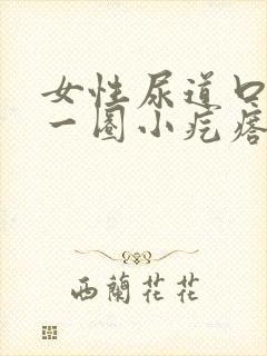 女性尿道口里长一圈小疙瘩