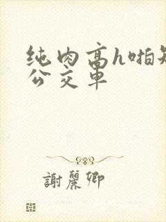 纯肉高h啪短文公交车