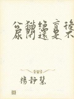 公猫绝育后容易尿闭还是不绝育容易尿闭