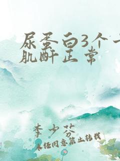 尿蛋白3个十号肌酐正常