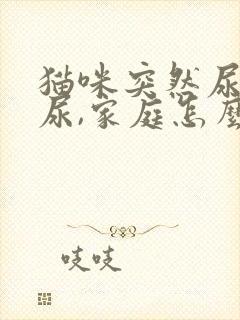 猫咪突然尿不出尿,家庭怎么处理