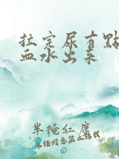 拉完尿有点痛带血水出来