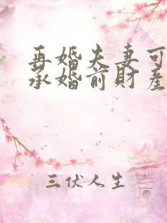 再婚夫妻可以继承婚前财产吗