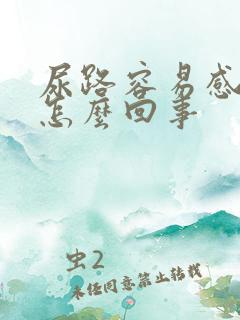 尿路容易感染是怎么回事