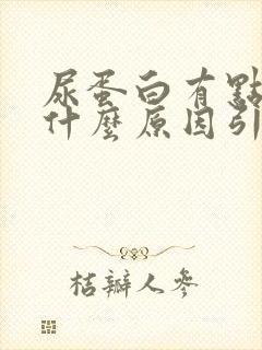 尿蛋白有点高是什么原因引起的