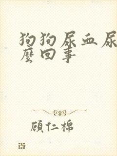 狗狗尿血尿是怎么回事