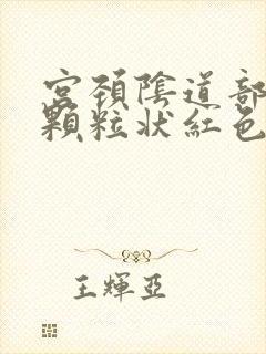 宫颈阴道部见细颗粒状红色区