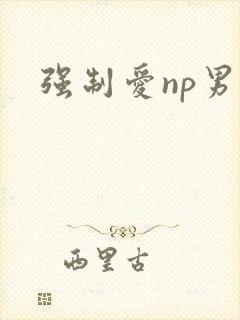 强制爱np男男