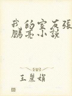 我的室友张健石鹏亮小说