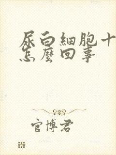 尿白细胞十1是怎么回事