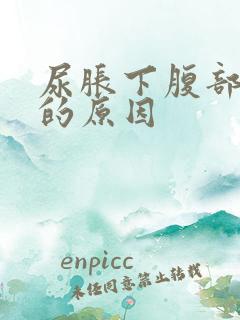 尿胀下腹部隐痛的原因