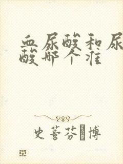 血尿酸和尿液尿酸哪个准