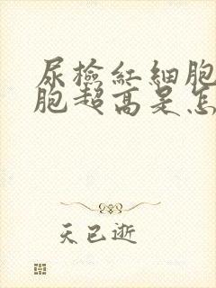 尿检红细胞白细胞超高是怎么回事