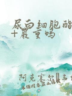 尿白细胞酯酶2+严重吗