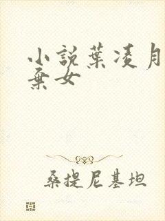 小说叶凌月神医弃女