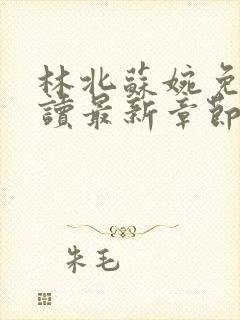 林北苏婉免费阅读最新章节笔趣阁