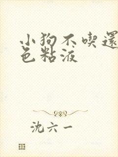 小狗不吃还吐白色粘液