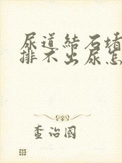 尿道结石堵住了排不出尿怎么办