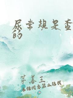 尿常规是查什么的