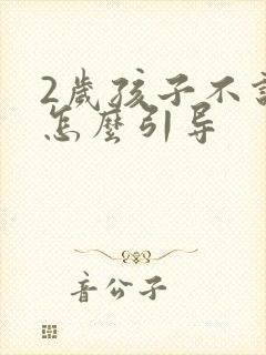 2岁孩子不说话怎么引导