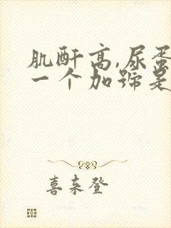 肌酐高,尿蛋白一个加号是什么原因