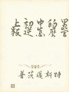 上初中的男孩很叛逆怎么管