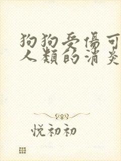 狗狗受伤可以吃人类的消炎药吗