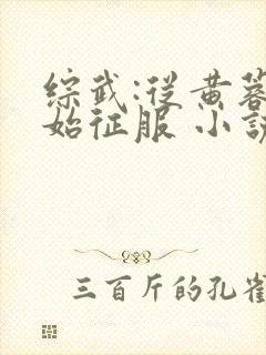 综武:从黄蓉开始征服 小说