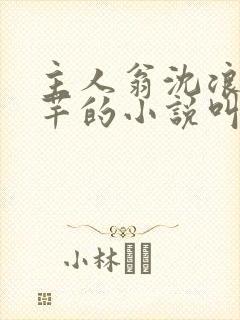 主人翁沈浪徐芊芊的小说叫什么名