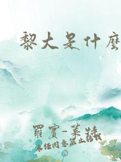 黎大是什么大学