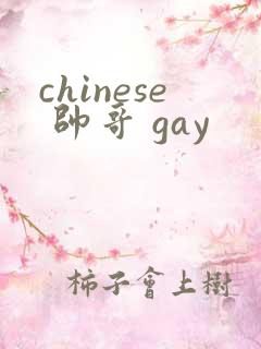 chinese 帅哥 gay