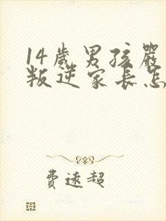 14岁男孩严重叛逆家长怎么办