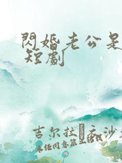 闪婚老公是总裁 短剧