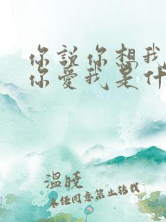 你说你想我你说你爱我是什么歌