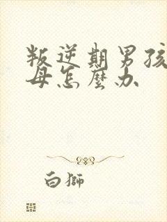 叛逆期男孩骂父母怎么办