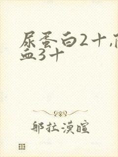 尿蛋白2十,隐血3十