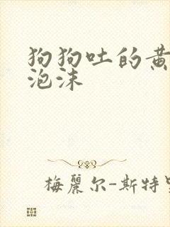 狗狗吐的黄水带泡沫